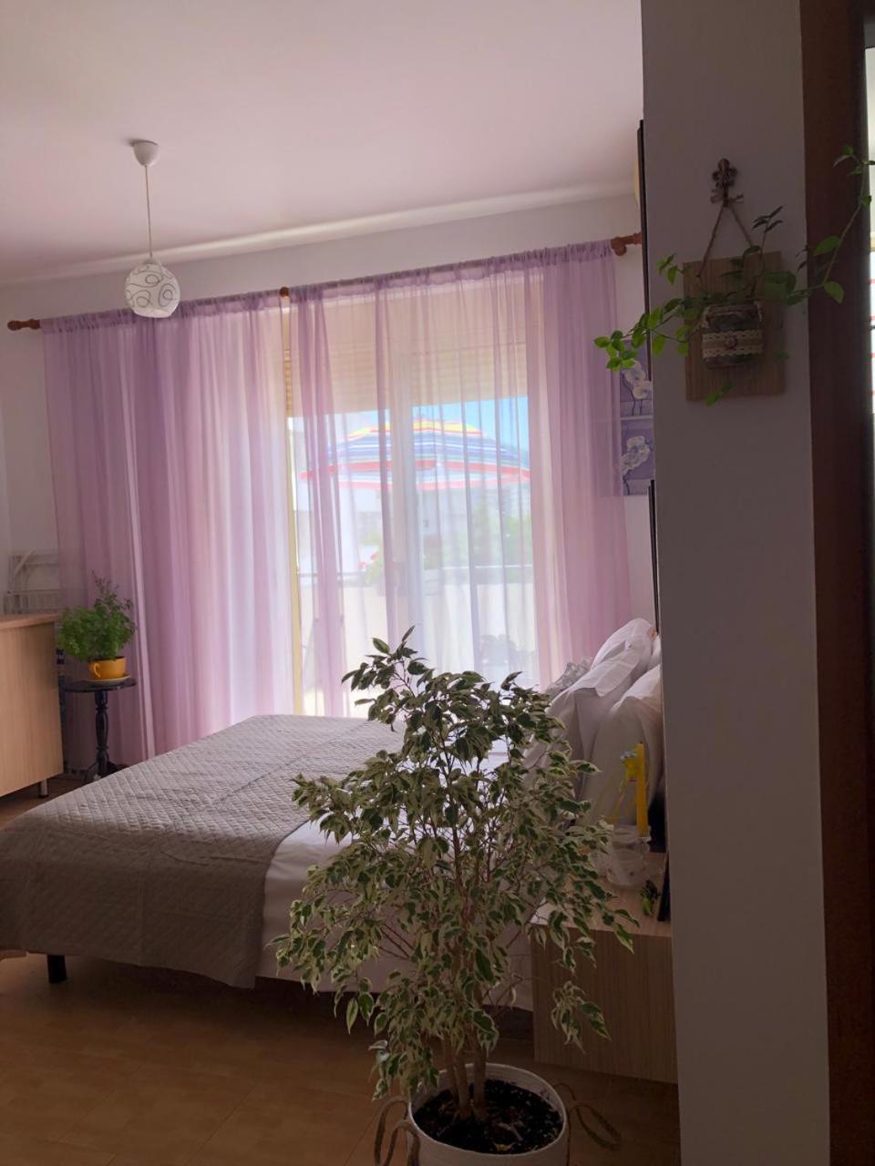 Studio Of Shpresa Vlorë Exteriör bild