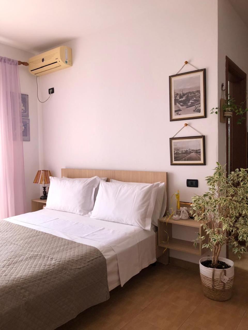 Studio Of Shpresa Vlorë Exteriör bild